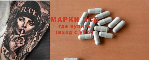 гидропоника Горнозаводск