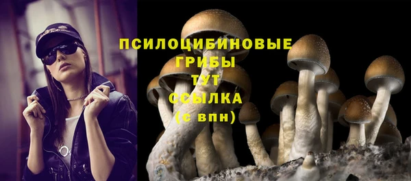 ECSTASY Горно-Алтайск