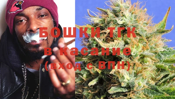 гидропоника Горнозаводск