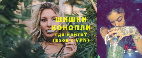 гидропоника Горнозаводск
